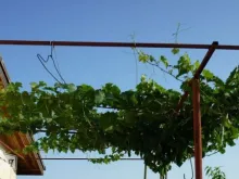 Мініатюра