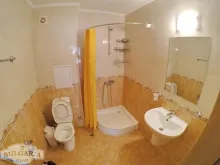 Мініатюра