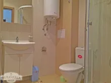 Мініатюра