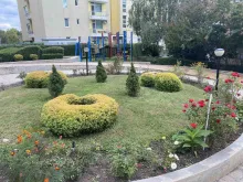 Мініатюра