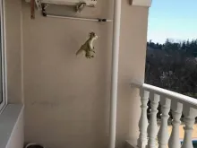 Мініатюра