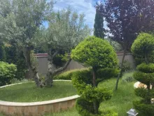 Мініатюра