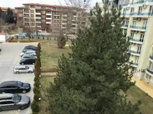 Мініатюра