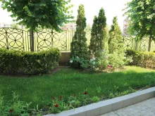 Мініатюра