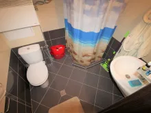 Мініатюра
