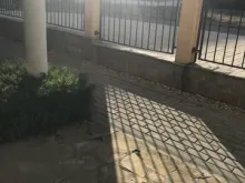 Мініатюра