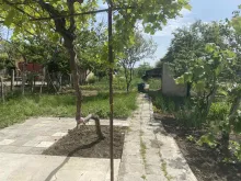 Мініатюра
