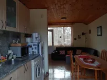 Мініатюра
