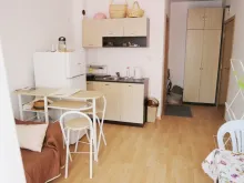 Мініатюра