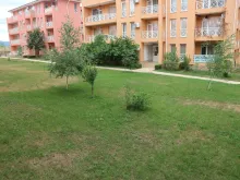 Мініатюра