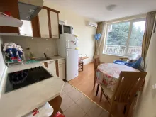 Мініатюра