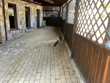 Мініатюра