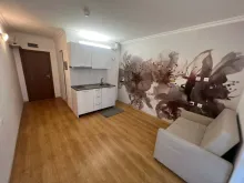 Мініатюра