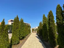 Мініатюра