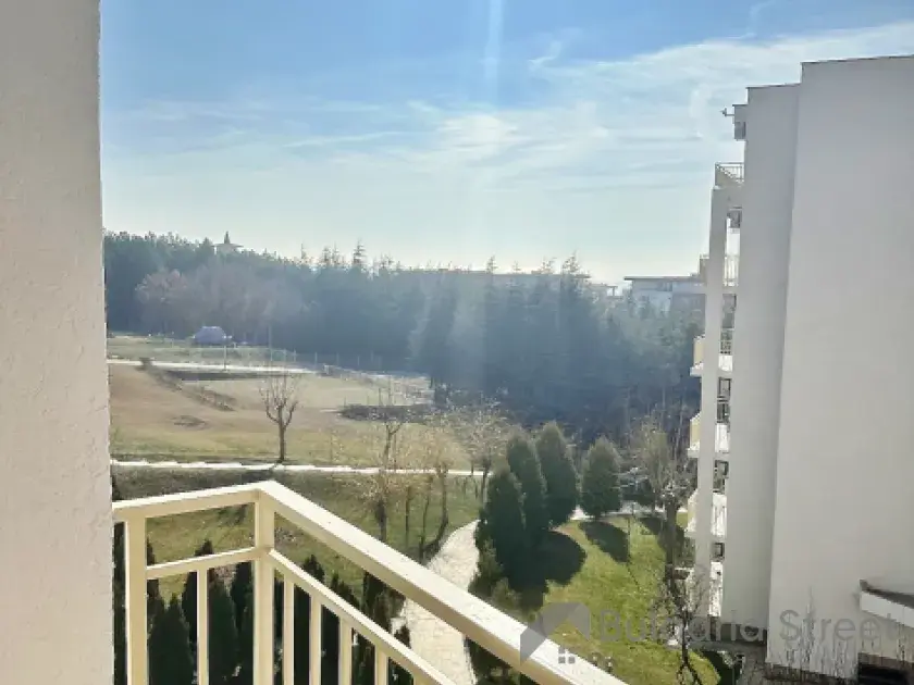 вид на ліс з тераси