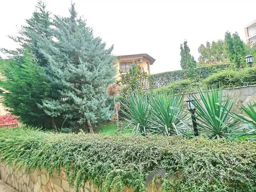 сад