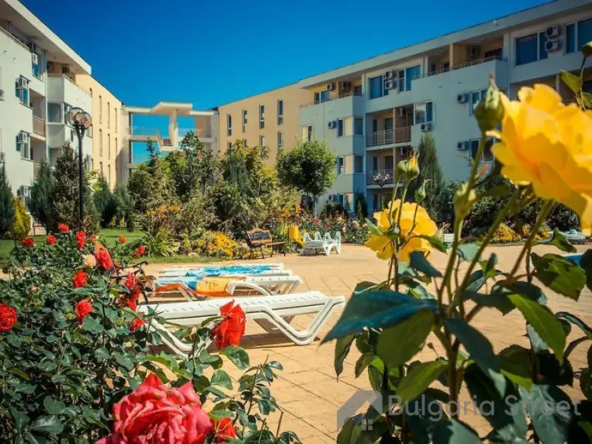 квіти на території комплексу