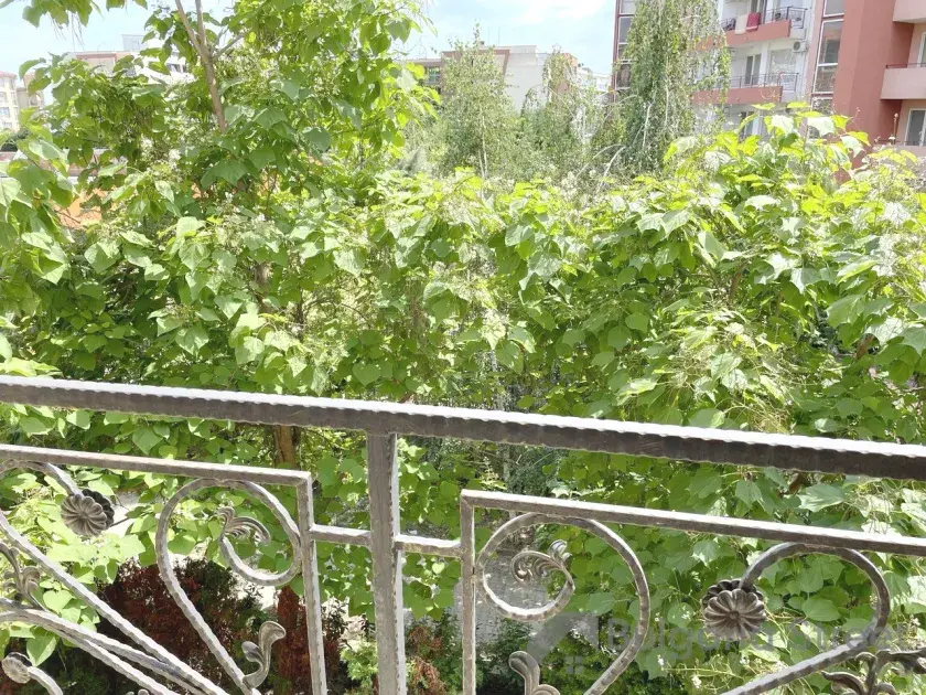 вид на сад з тераси