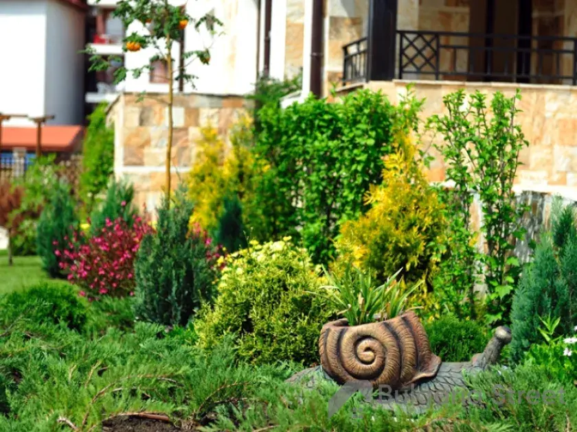 сад