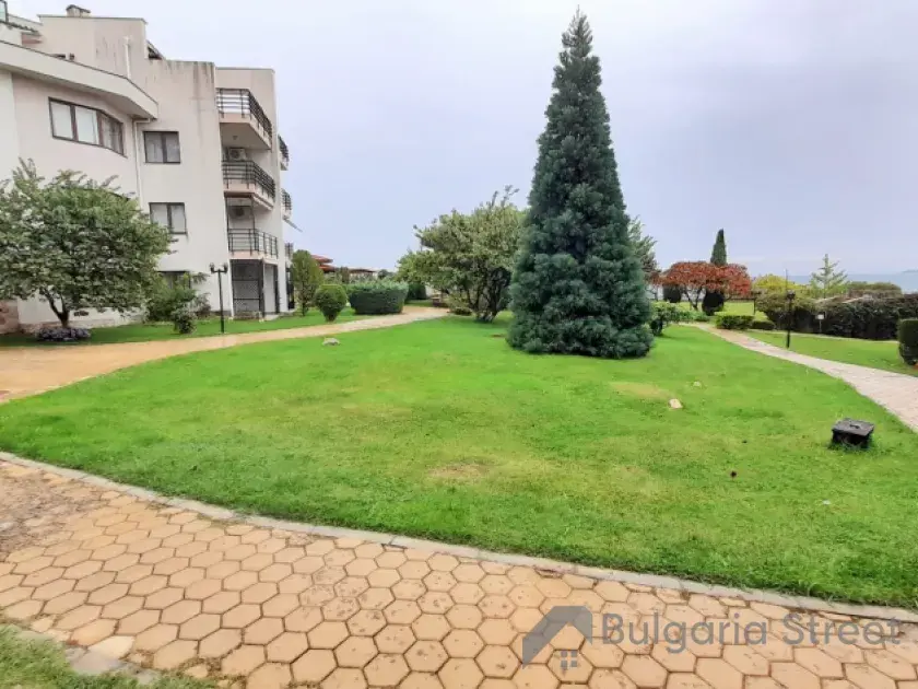 вид на лужайку и море