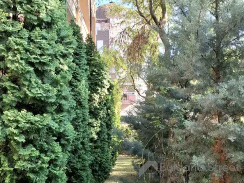 комплекс, территорія