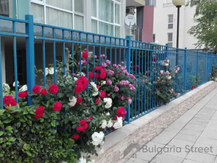 комплекс, территорія, басейн