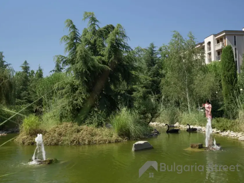 комплекс, территорія, бассейн