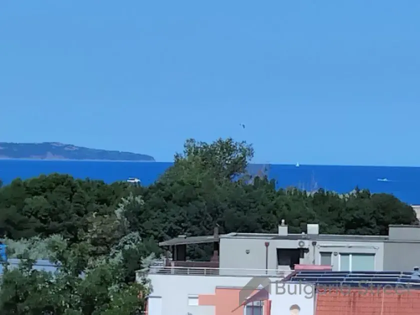 вид