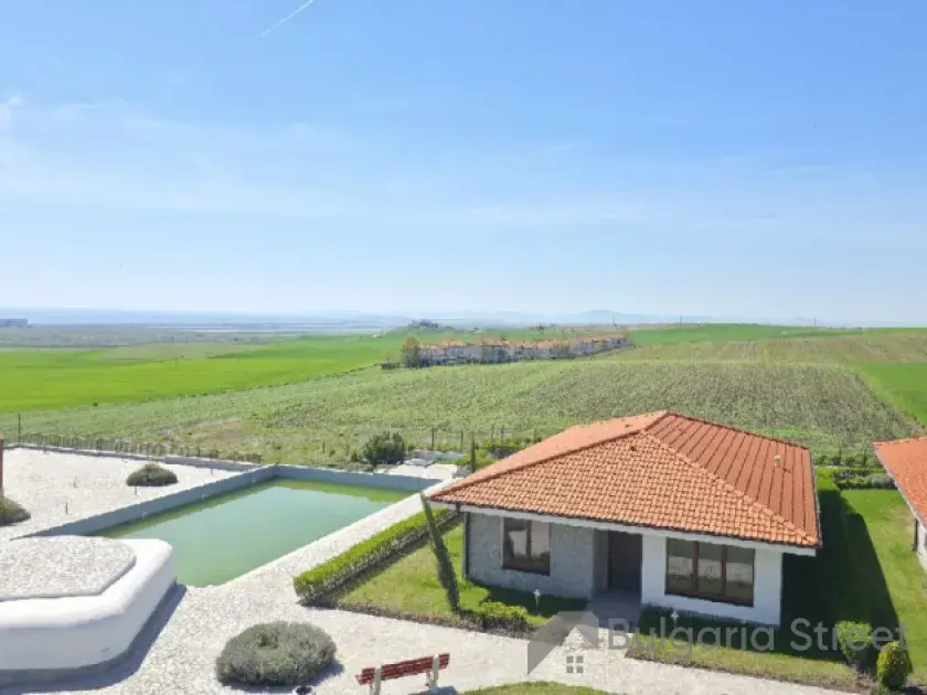Vineyards Panorama